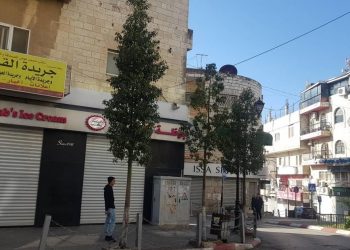 إضراب شامل في رهط بالنقب المحتل احتجاجًا على استشهاد الشاب الهربد