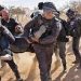 IOF to continue forestation plan in forestation 16 IOF to continue forestation plan in forestation