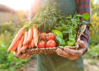 Russian study confirms best healthy food for lungs