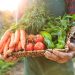 Russian study confirms best healthy food for lungs 18 Russian study confirms best healthy food for lungs