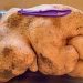 Guinness World Records: Giant New Zealand potato is "fake"! 18 Guinness World Records: Giant New Zealand potato is “fake”!