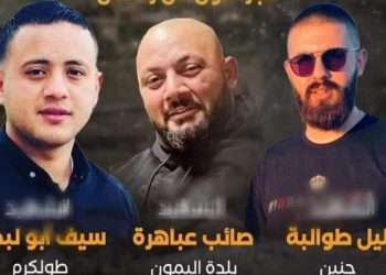 3 tués Palestiniens dans l'opération d'assassinat au sud de Jénine 15 3 tués Palestiniens