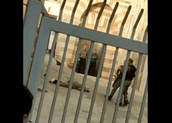 شهيدة برصاص الاحتلال قرب الحرم الإبراهيمي