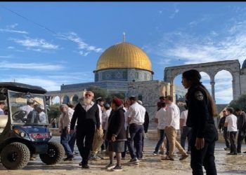 عشرات المستوطنين يقتحمون الأقصى وينفذون جولات استفزازية