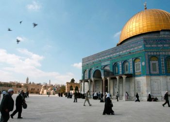 Amnesty describes Israeli aggression against Palestinians as a "Crime Against Humanity"