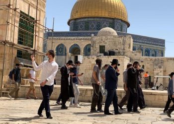عشرات المستوطنين يقتحمون الأقصى