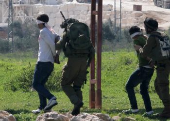 Israeli forces abduct four Palestinians in West Bank: sources