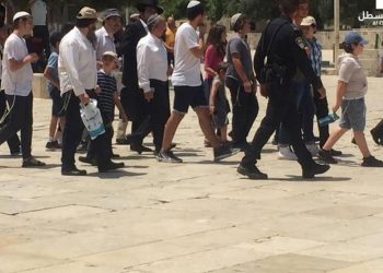 73 مستوطنا يقتحمون باحات "الأقصى" بحراسة شرطة الاحتلال