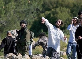 Israeli settlers throw stones at vehicles near Nablus