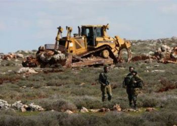 Herd of Israeli settlers penetrates farmlands in Nablus