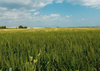 حالة الطقس اليوم الأحد 3-4-2022