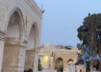 إصابات بالاختناق خلال قمع الاحتلال للمصلين بالأقصى