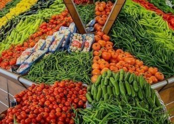 أسعار الخضروات والدجاج في أسواق غزة