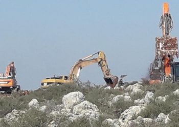 Extremist settlers raze  farmlands in Jordan Valley