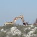 Extremist settlers raze farmlands in Jordan Valley 16 Extremist settlers raze  farmlands in Jordan Valley