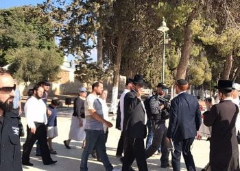 Dozens of settlers defile Aqsa Mosque: sources
