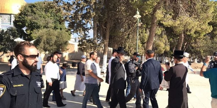 Dozens of settlers defile Aqsa Mosque: sources