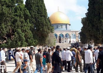 69 مستوطنًا يقتحمون الأقصى