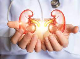 10 signs should not ignore to keep your kidneys safe