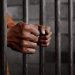 Two Palestinian inmates on hunger strike rejecting administrative detention 17 Palestinian inmate remains on hunger strike for 29 days