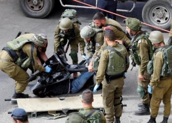 Palestinian worker Shot Dead in Ashkelon by Israeli officer