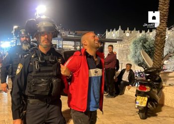 الاحتلال يعتقل 3 شبان من منطقة باب العمود بالقدس