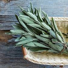 Sage magical drink with many benefits