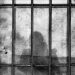 Palestinian inmate sentenced to life in Israeli jails 18 Palestinian inmate sentenced to life in Israeli jails