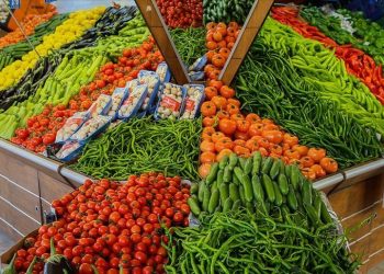 أسعار الخضروات واللحوم في أسواق غزة اليوم غزة