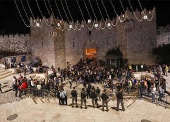 الاحتلال يعتقل أربعة شبان من منطقة باب العمود في القدس