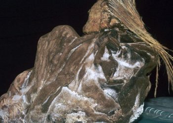 Special brew used to calm Inca children 500 years ago