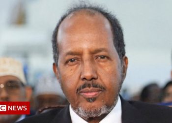 Hassan Sheikh Mohamud: Who is Somalia’s new leader?
