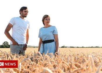 How can Ukraine export its harvest to the world?