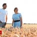 How can Ukraine export its harvest to the world? 17 How can Ukraine export its harvest to the world?