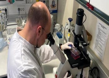 معالجة جدري القرود