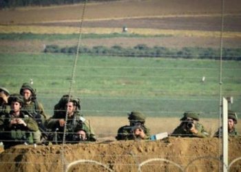 الاحتلال يطلق النار تجاه الأراضي الزراعية ورعاة الأغنام شرق خان يونس