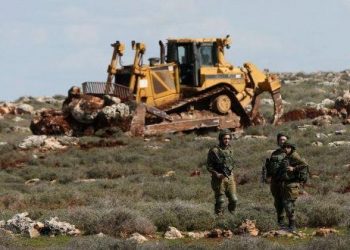 Israeli forces raze farmland south of Bethlehem