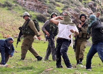 Israeli settlers damage Palestinian vehicles in Nablus, Salfit
