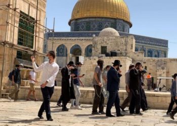 المرشحة العواودة: شباب فلسطين لن يسمحوا للمستوطنين بإهانة الأقصى