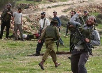 Israeli settlers attack elderly man near Hebron