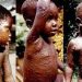 What is monkeypox, where does its name come from? 16 What is monkeypox, where does its name come from?