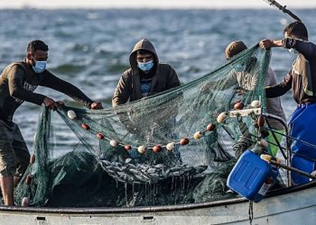 زكريا بكر: اعتقال 16 صياداً خلال الشهر الماضي