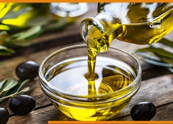 بالفيديو معاصر زيت الزيتون في قطاع غزة و ما هي فوائده