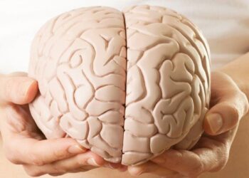 دراسة تتوصل لنتائج مذهلة حول قدرات أشخاص بنصف دماغ