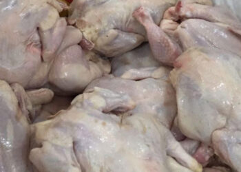 روائح تعفن اللحوم تقود السلطات السعودية إلى شقة سكنية لتقطيع الدجاج الفاسد