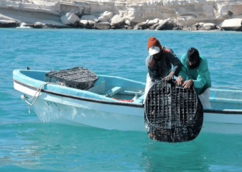 بعد 10 أيام في البحر.. مفقودا أشخرة يرويان تفاصيل محنتهما‎‎