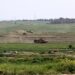 IOF opens fire, teargas at farmers, shepherds in Gaza Strip 15 IOF opens fire, teargas at farmers, shepherds in Gaza Strip
