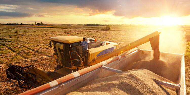 Second EU country offers to export Ukrainian grain