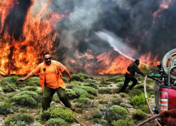 بعد 3 أيام.. تركيا تسيطر على حريق غابات دمر 11 ألف فدان