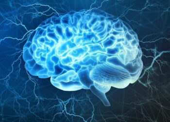 باحثون يضعون خريطة لشبكة دماغية متصلة بالإدمان